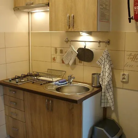 Krovo Διαμέρισμα Krasków